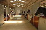 Property Image 3447